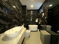 Dynasty Lodge (D10), Apartment #476427301